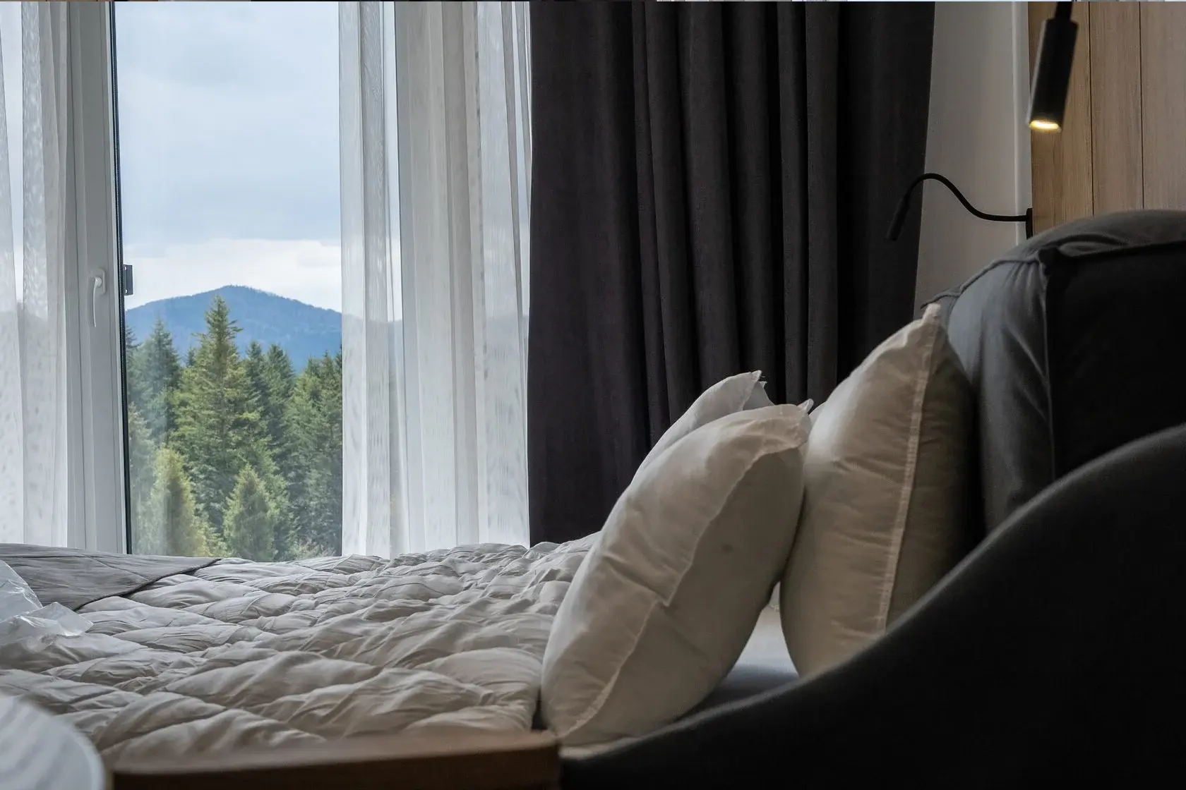 Интерьер Superior 1