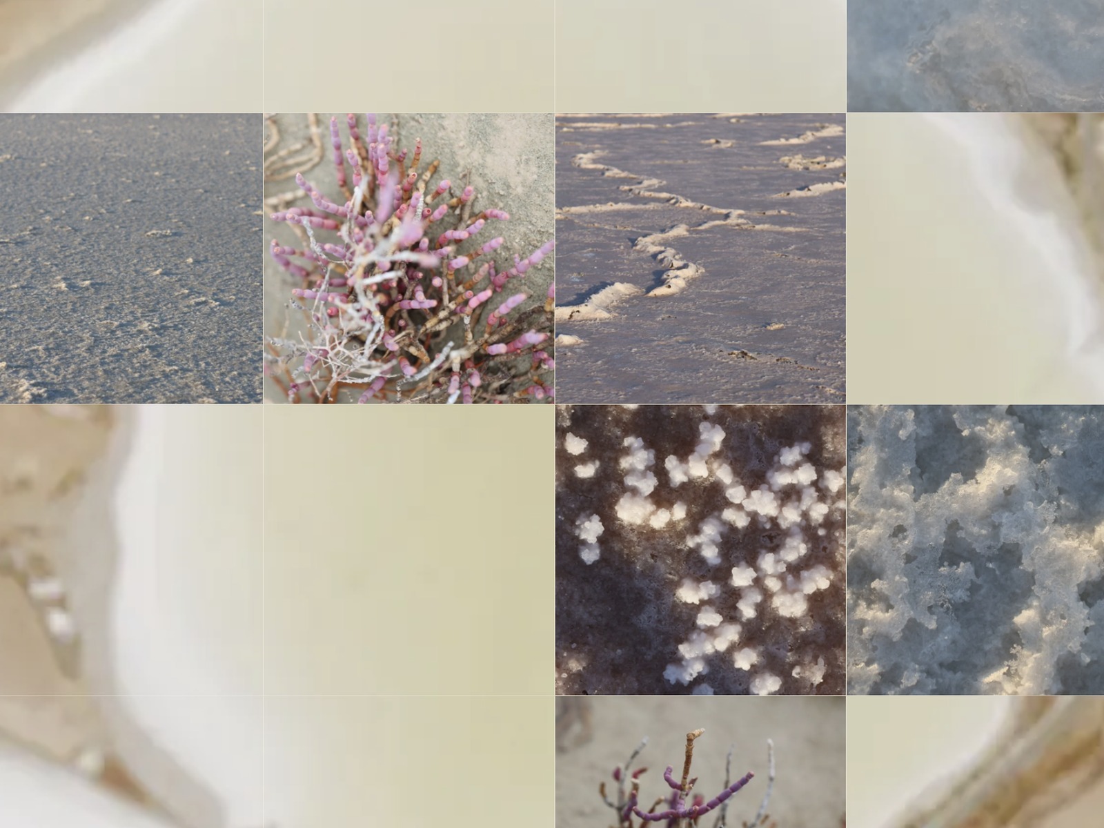 Grid