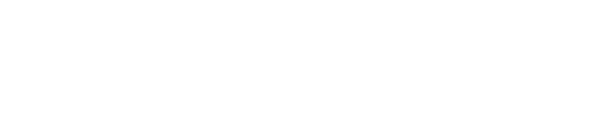 Premium Financial Solutions