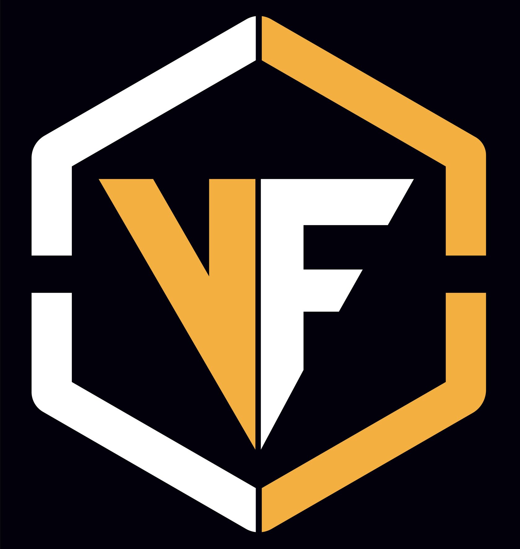 VONFIDEL GROUP (VFG) logo – symbolizing global intelligence, security, and sophistication