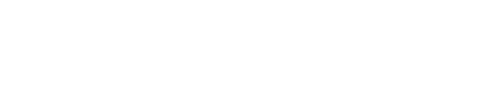 Company name