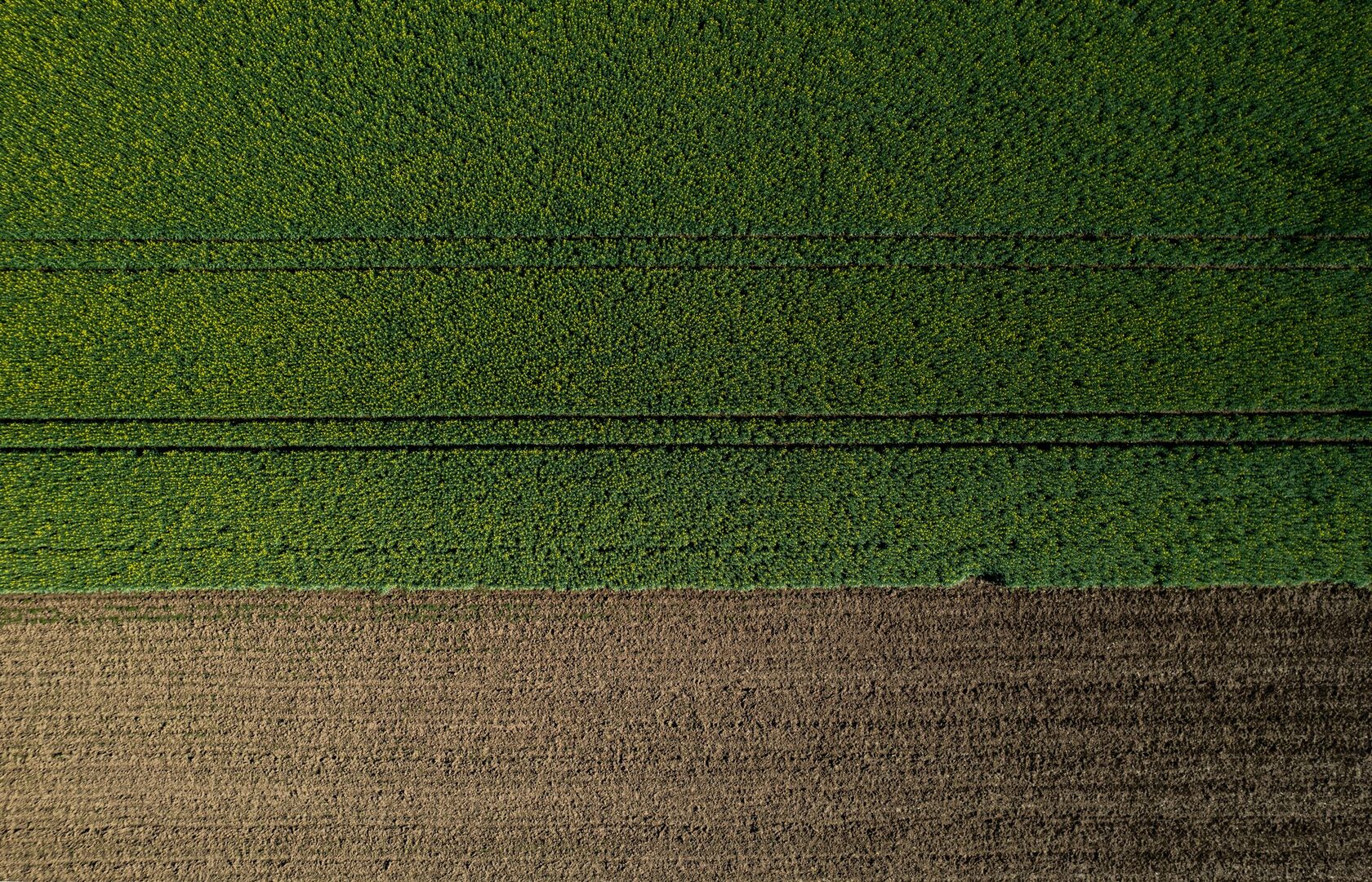Farm Partnerships