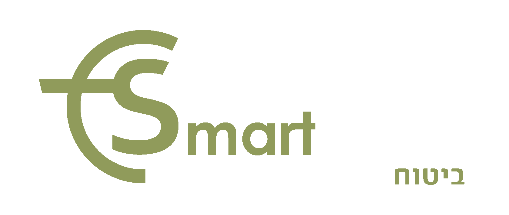 לוגו Smart Team