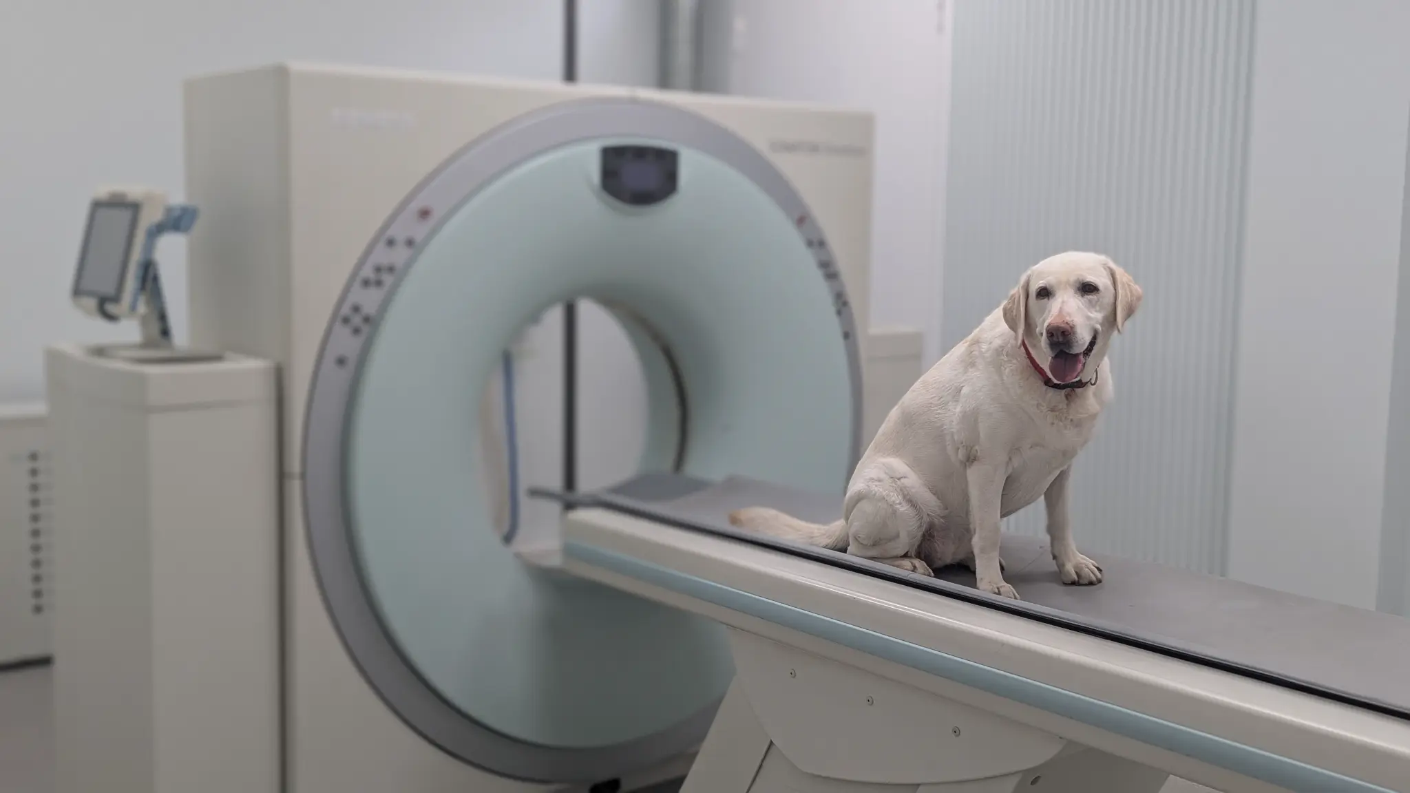 КТ-кабинет Хэрриот