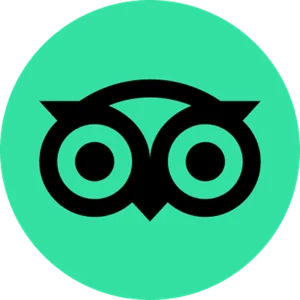 website icon