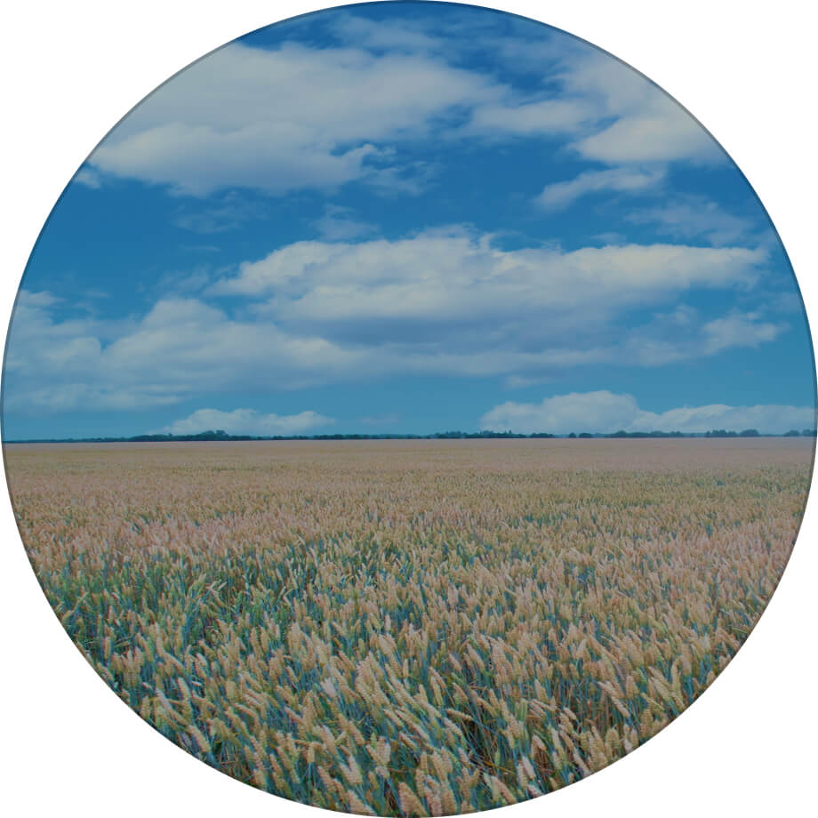 МІП Дніпрянка