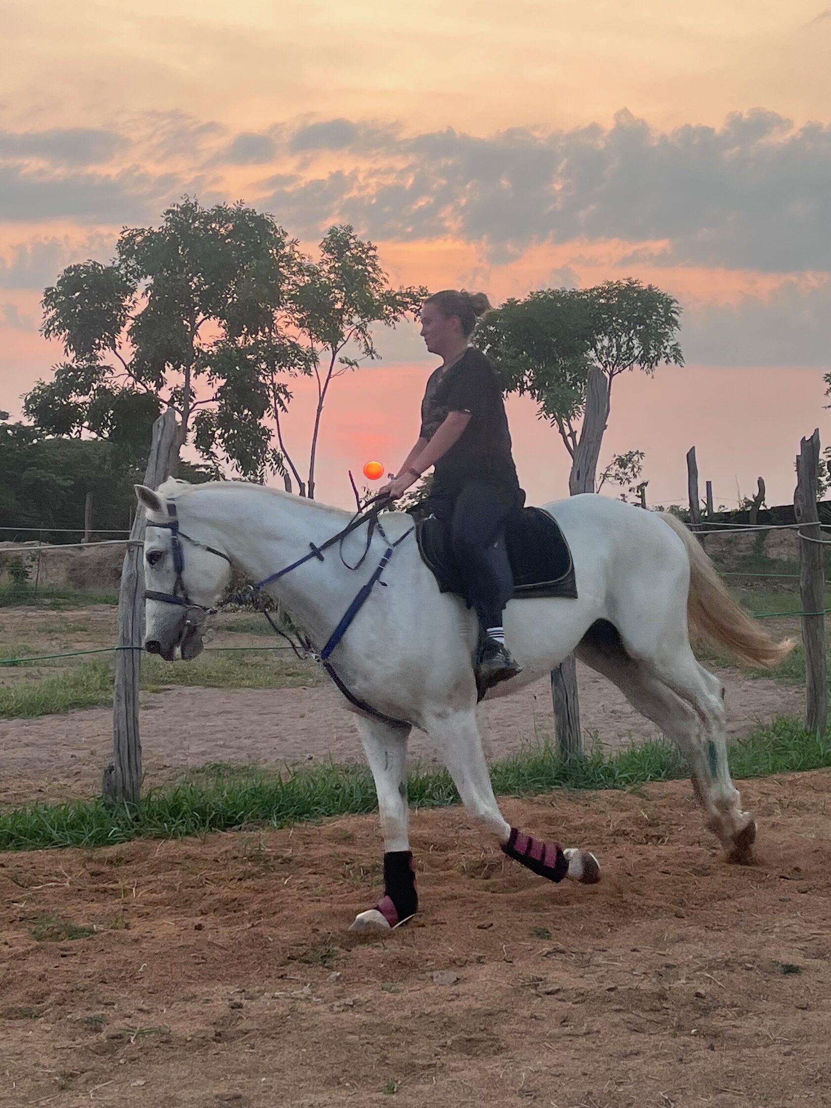 Guest riding a white horse at sunset during a horsemanship training stay at Vonfidel Ranch in Sri Lanka.
