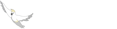 Services for Australian Rural and Remote Allied Health (SARRAH)