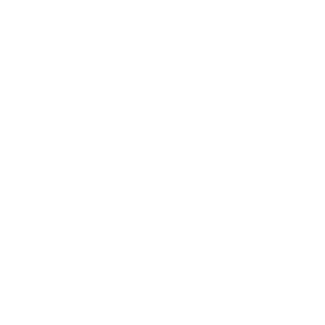 website icon