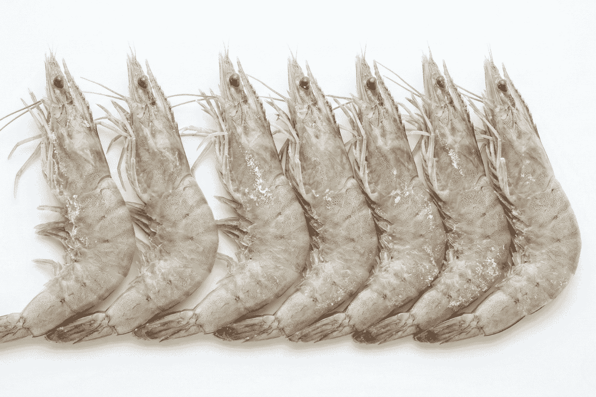 Frozen seafood processing in Vietnam