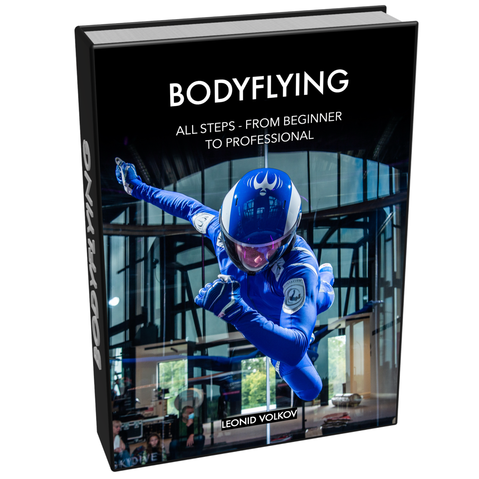 邦楽 PERSPECTIVE / FLYING STEPS 藤枝伸介 Perspective Flying Steps レコード 7インチ - omanye