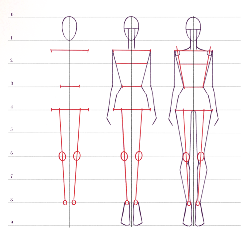 Как нарисовать фешн фигуру