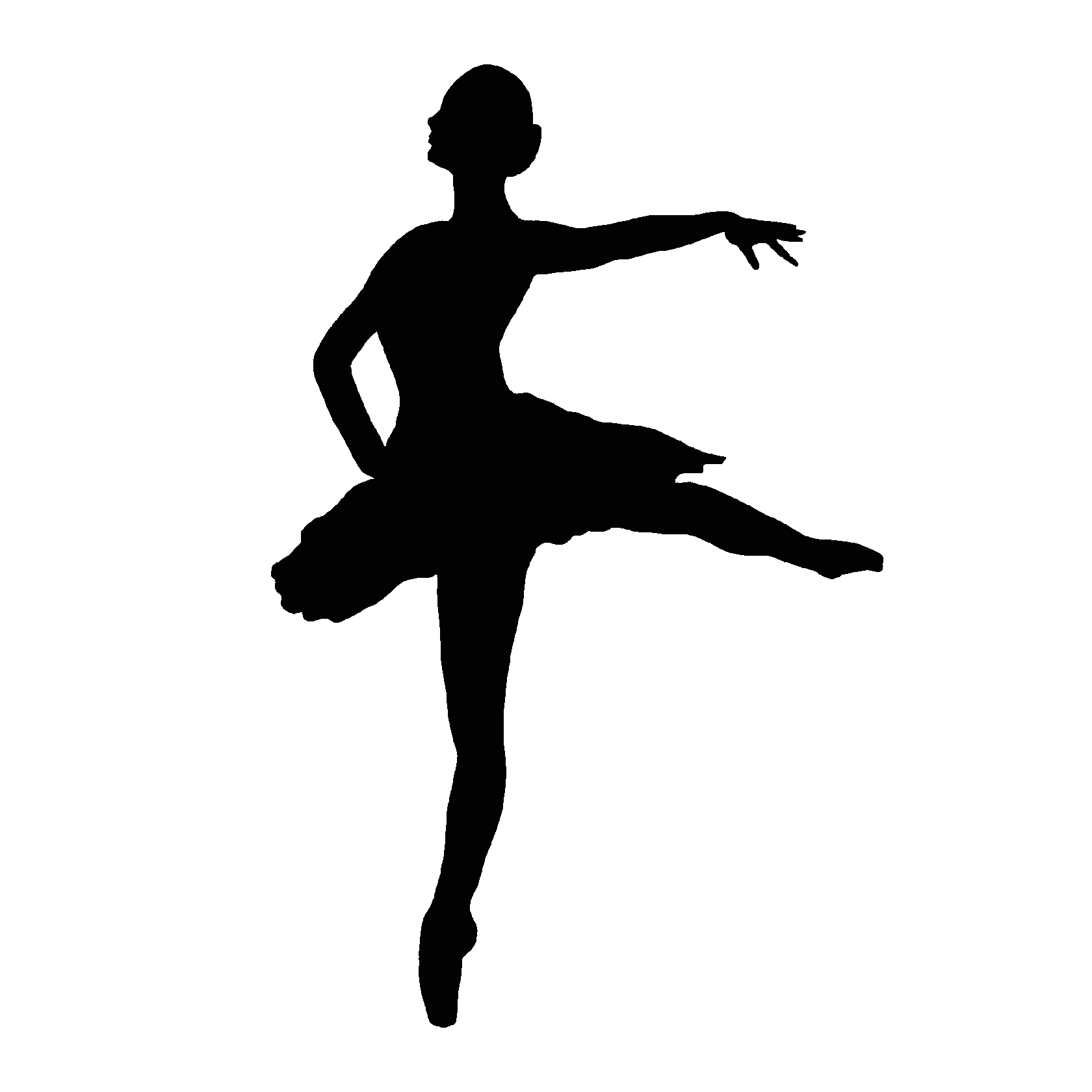 ballerine silhouette