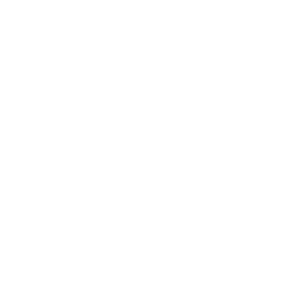 website icon