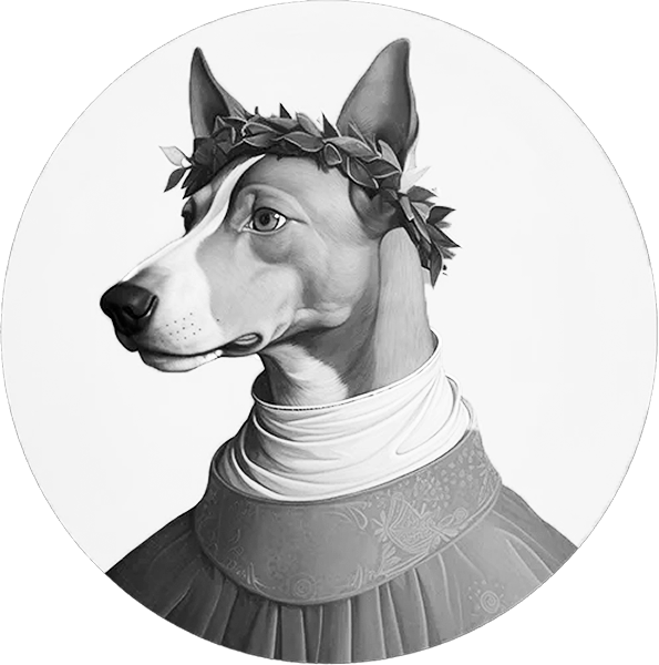 Сайт для AL DANTE, компании, предоставляющей полное руководство по съемке и продвижению каналов