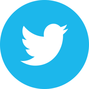 website icon