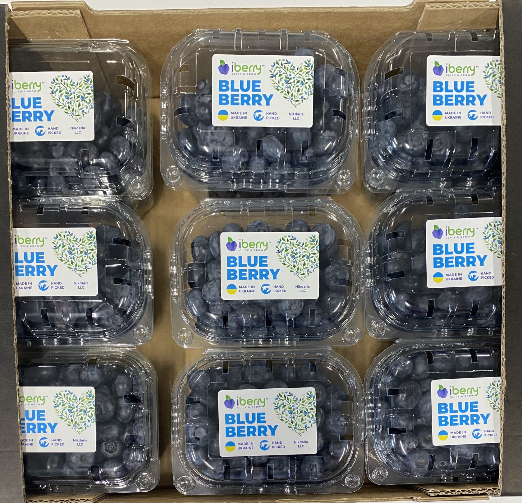 Fresh blueberries iBerry Ukraine