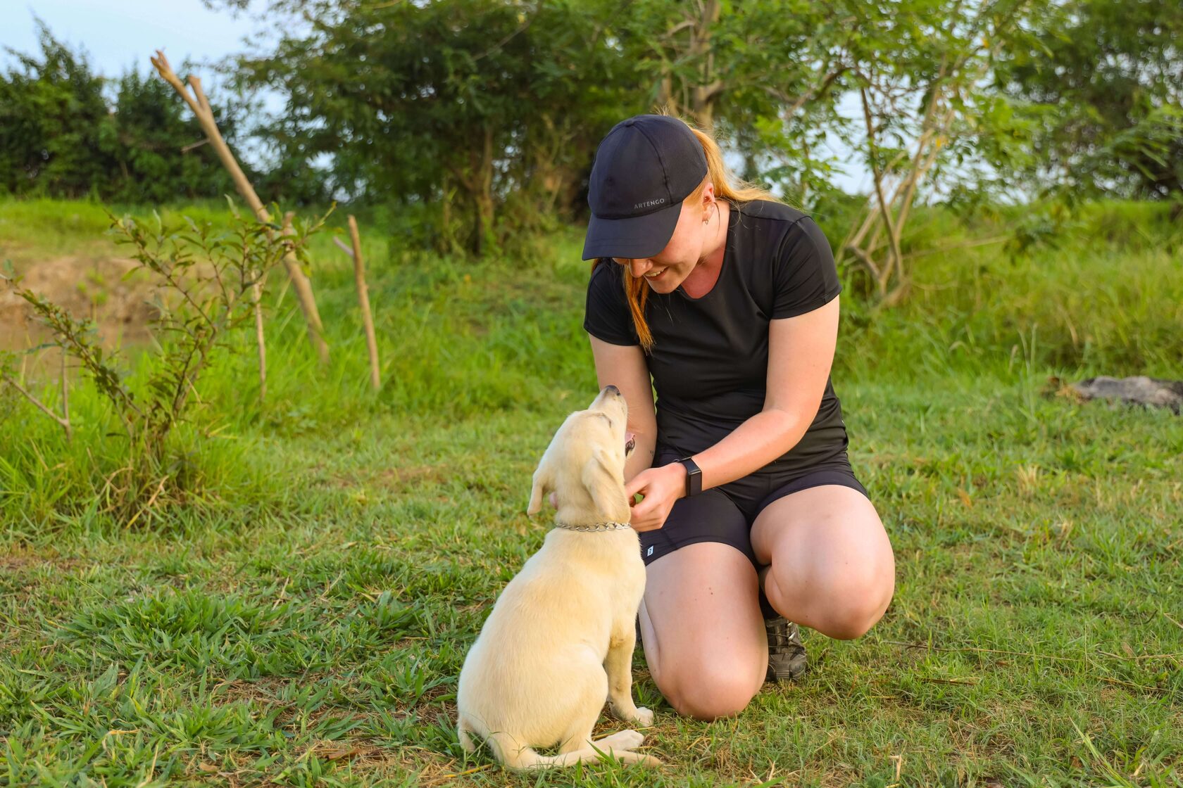 Working-line puppy experiencing early controlled socialisation