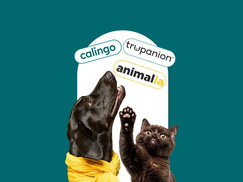 Pet insurance in Geneva