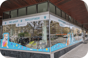 Plainpalais Cabinet