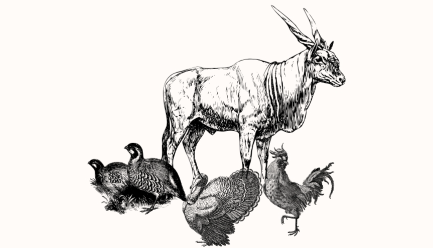  КАРАШИНСЬКЕ подвірʼя - premium family farm 