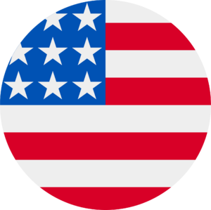 website icon