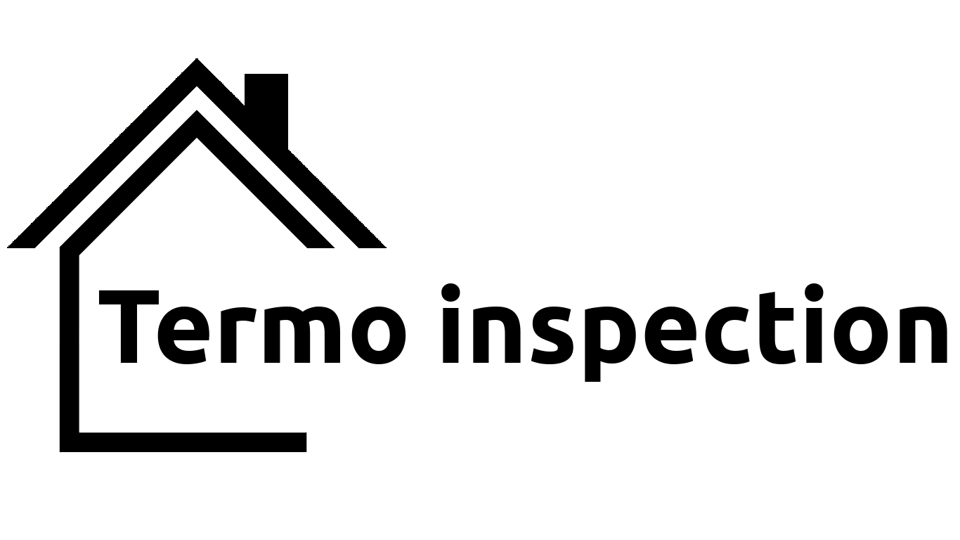 Termo inspection