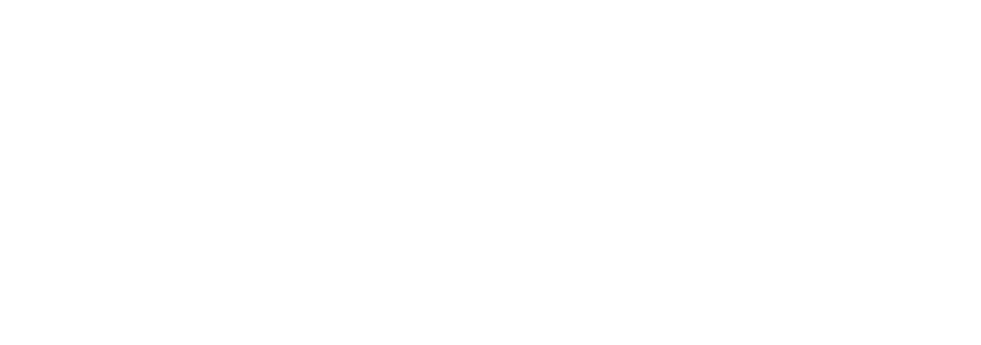 LIGHT-TEAM