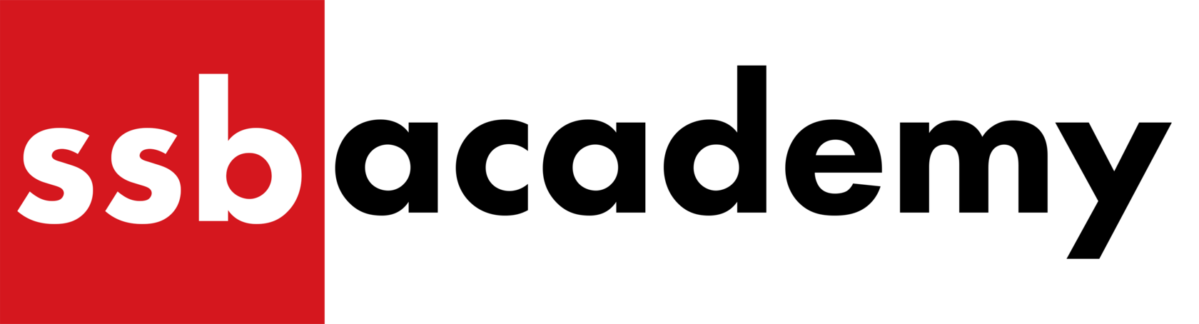 SSB ACADEMY