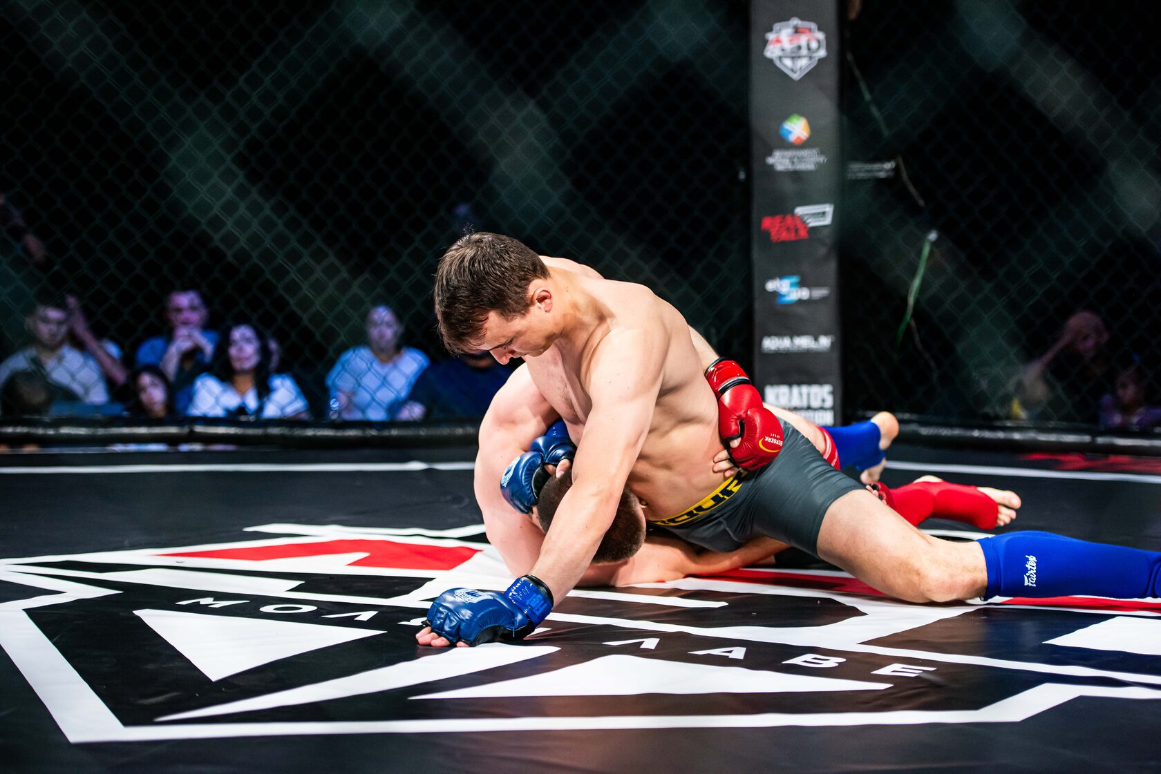 бойове самбо, мма, спортивная секция