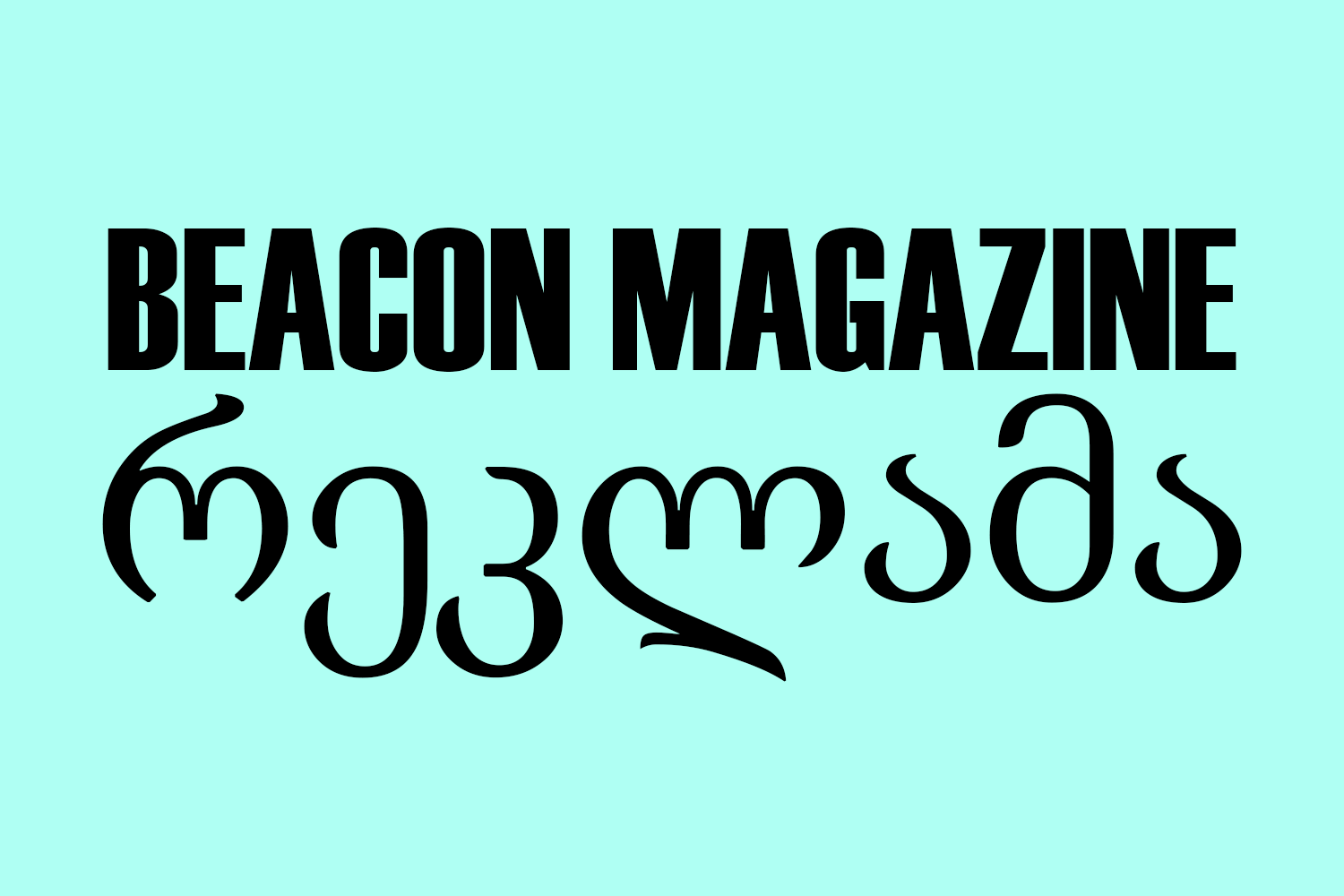 პარტნიორი 2