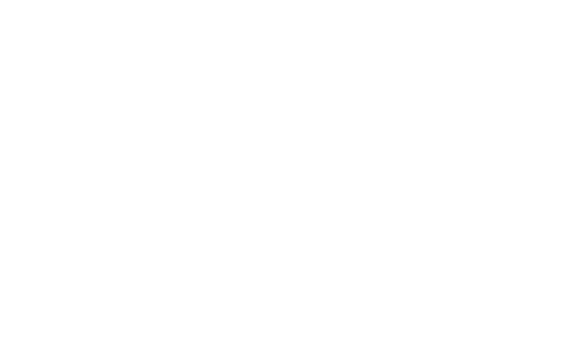 Логотип Amina Diamonds