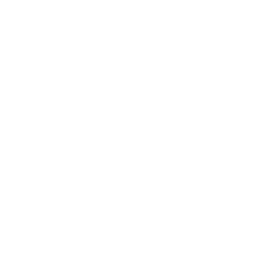 mobile app