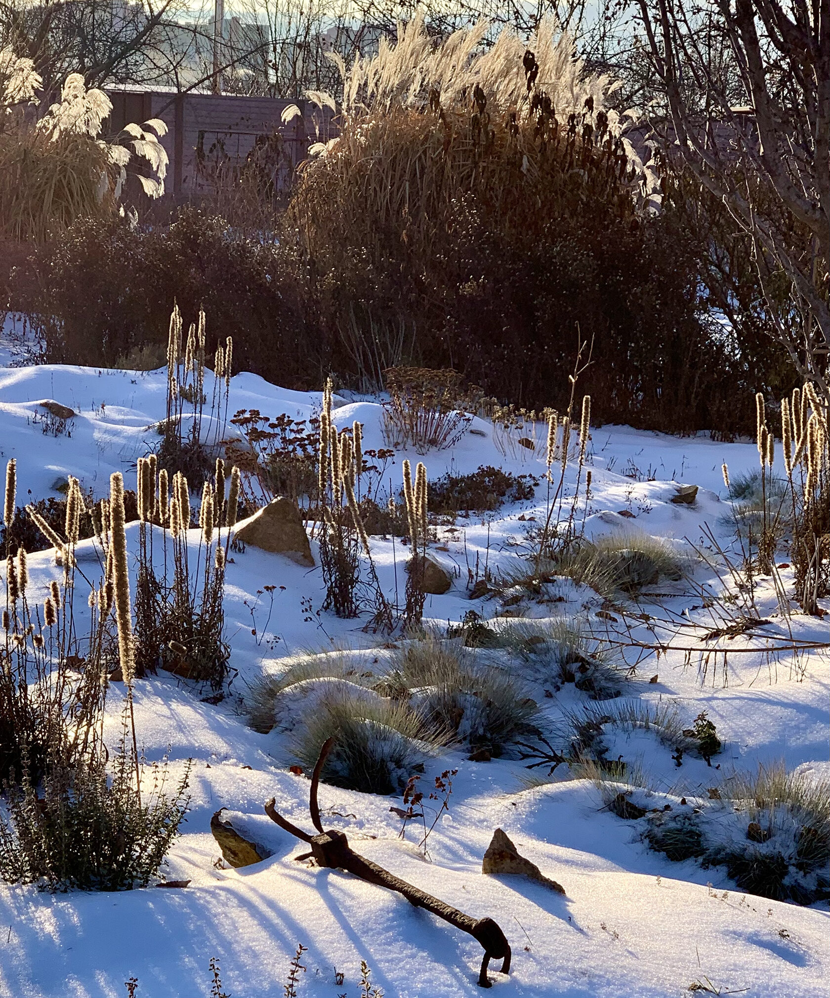 Гардениана Gardeniana блог. Зимняя декоративность сада. Элементы дизайна нескучного зимнего сценария для сада