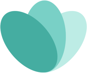 website icon