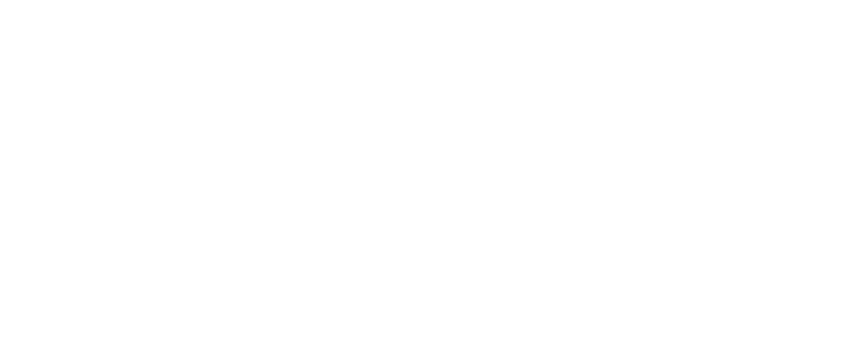 Stanislav Academy