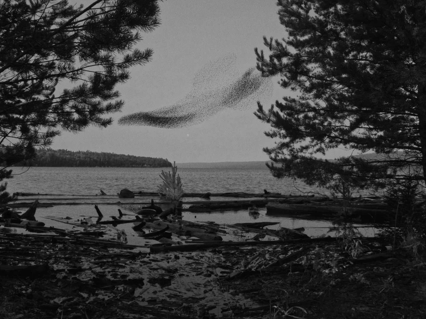 Волнами, реж. Сергей Кальварский, 16+