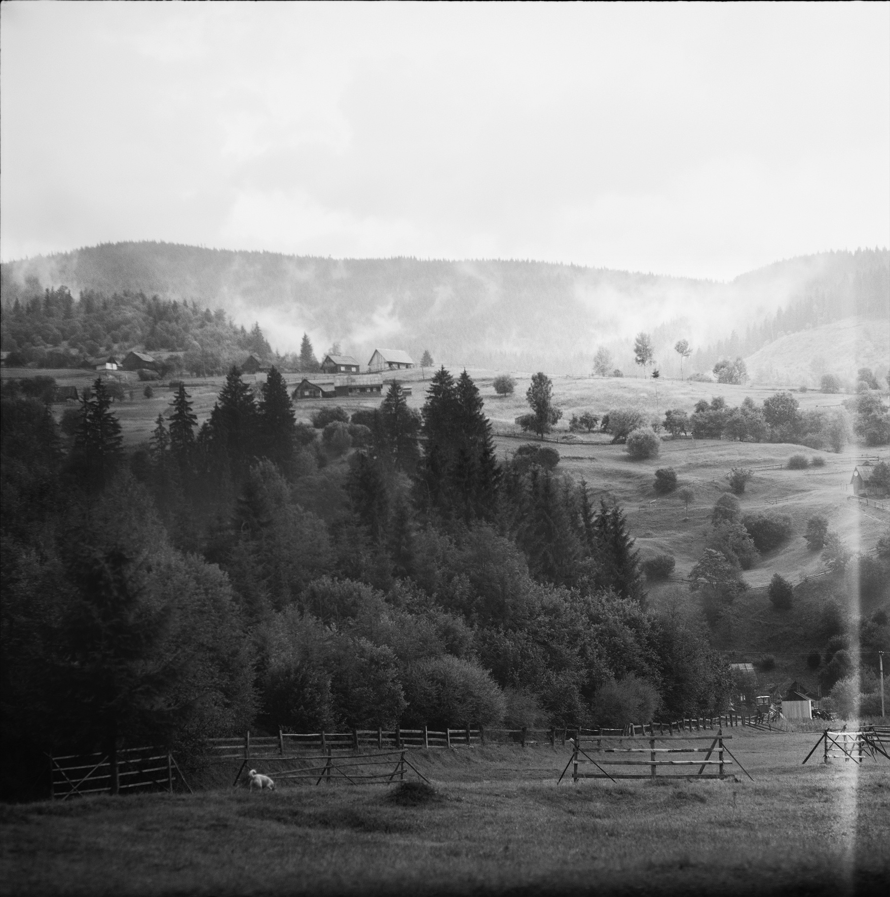 Mist is gathering on the slopes of the Carpathian mountains