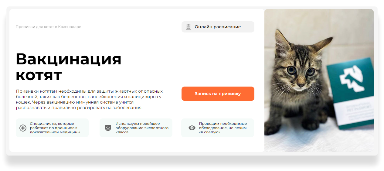 Вакцинация котят в Краснодаре - Прививка котенку по цене от 2150 руб.