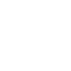 website icon
