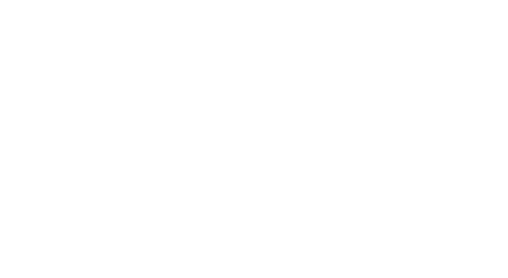 22tranzit