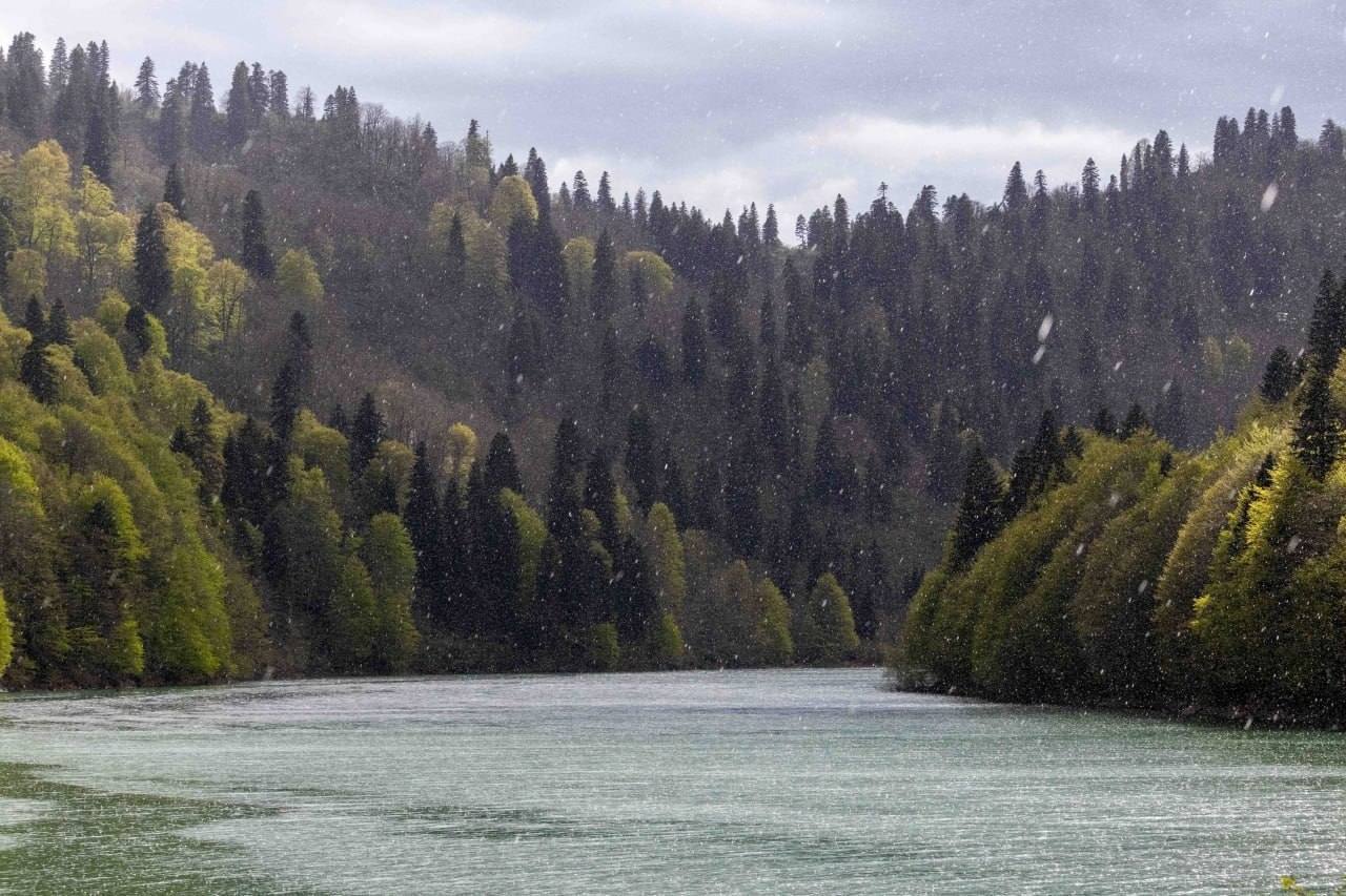 The Shaori Reservoir in the Forest