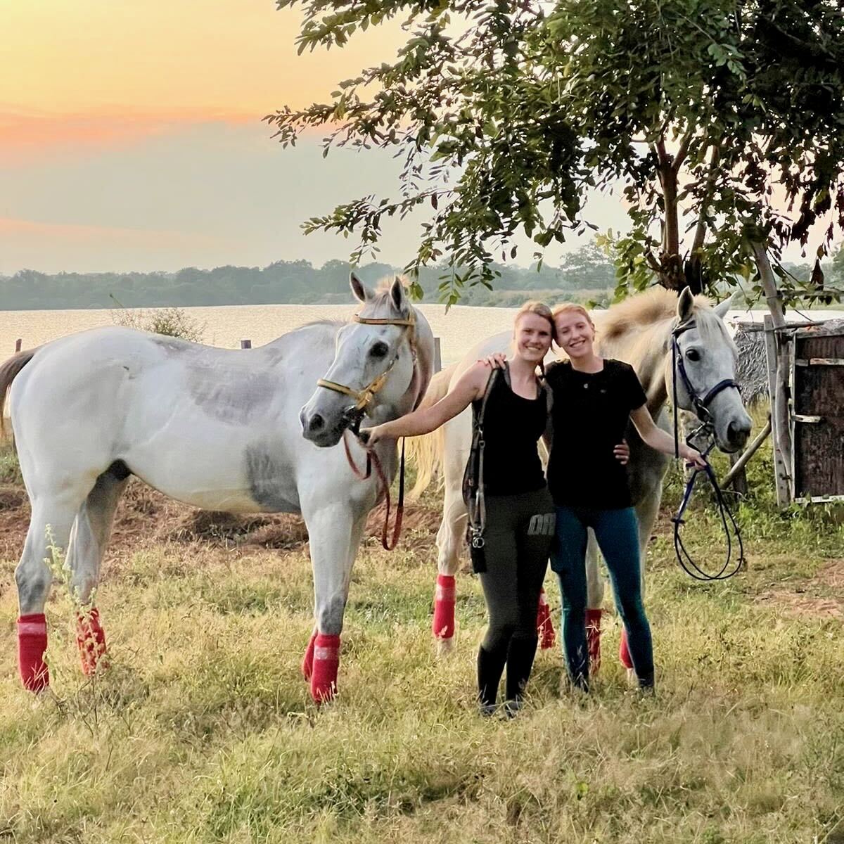 Calm, balanced riding at Vonfidel Ranch in Sri Lanka