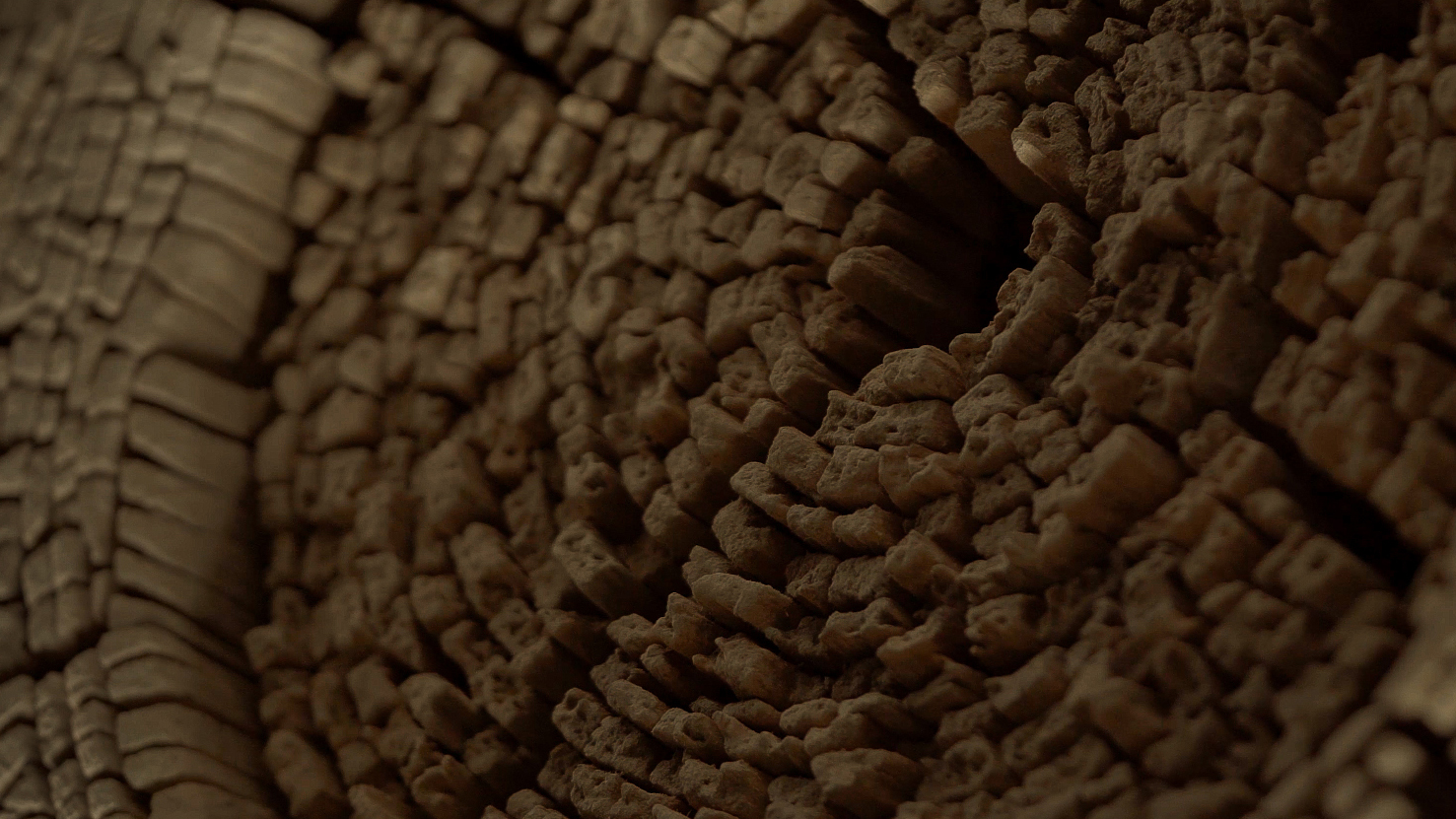 Gallery Exhibition Wood Wall Decor by Tor Design