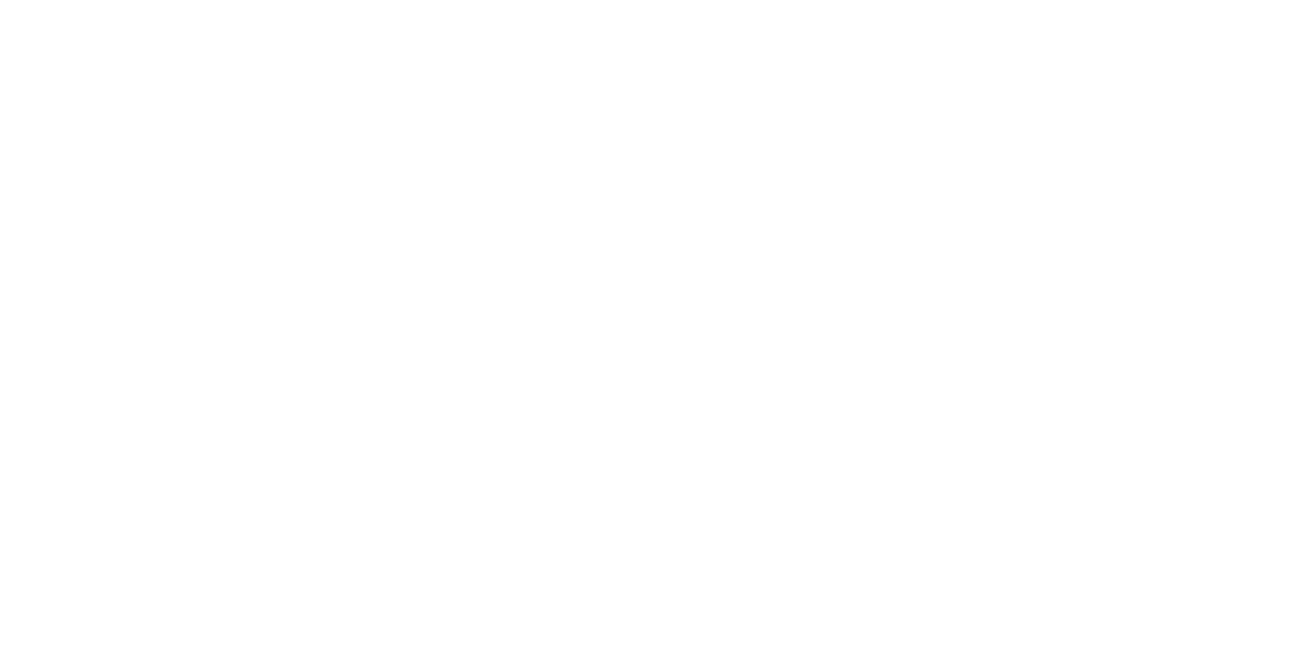 FELSIN
