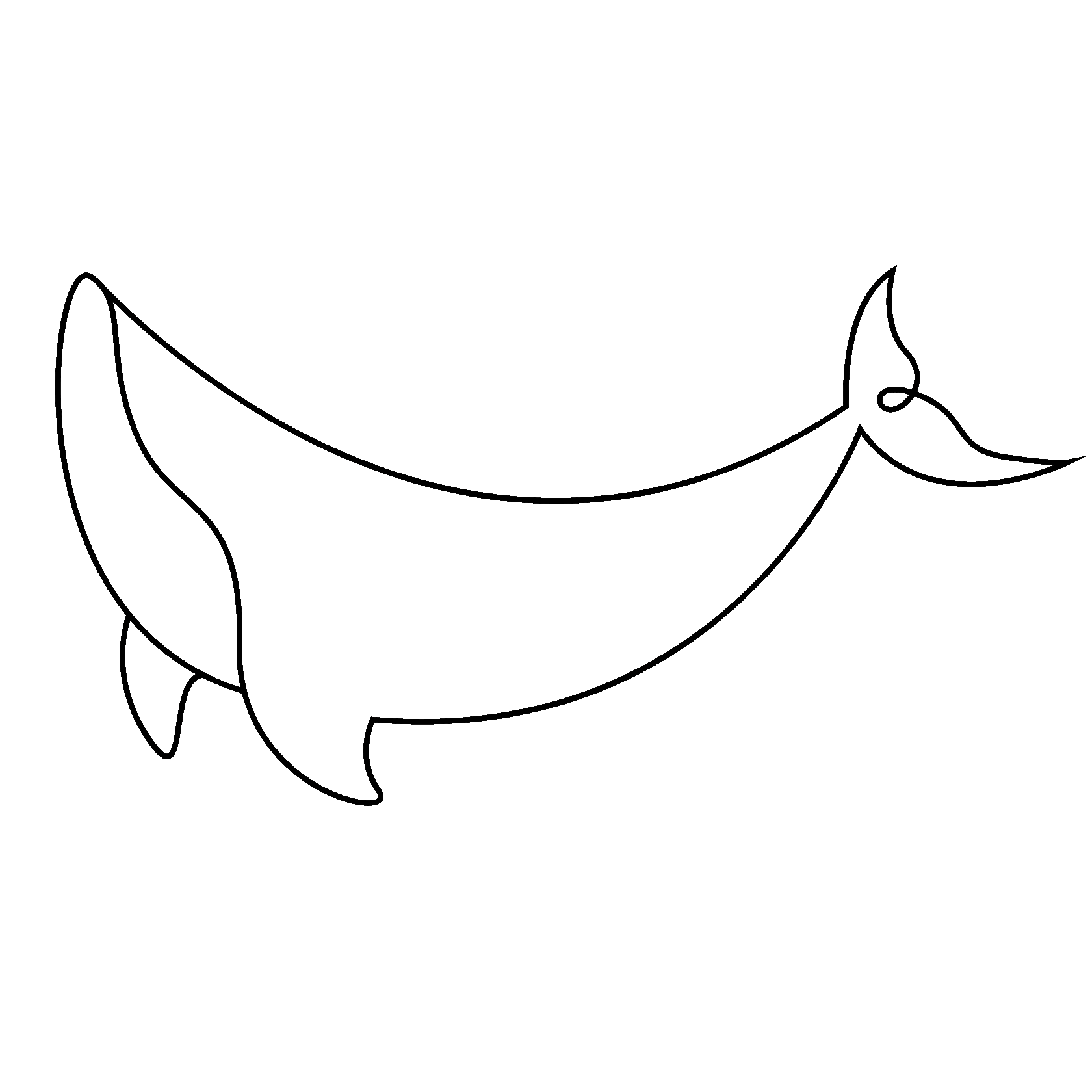 WHALE EVENT