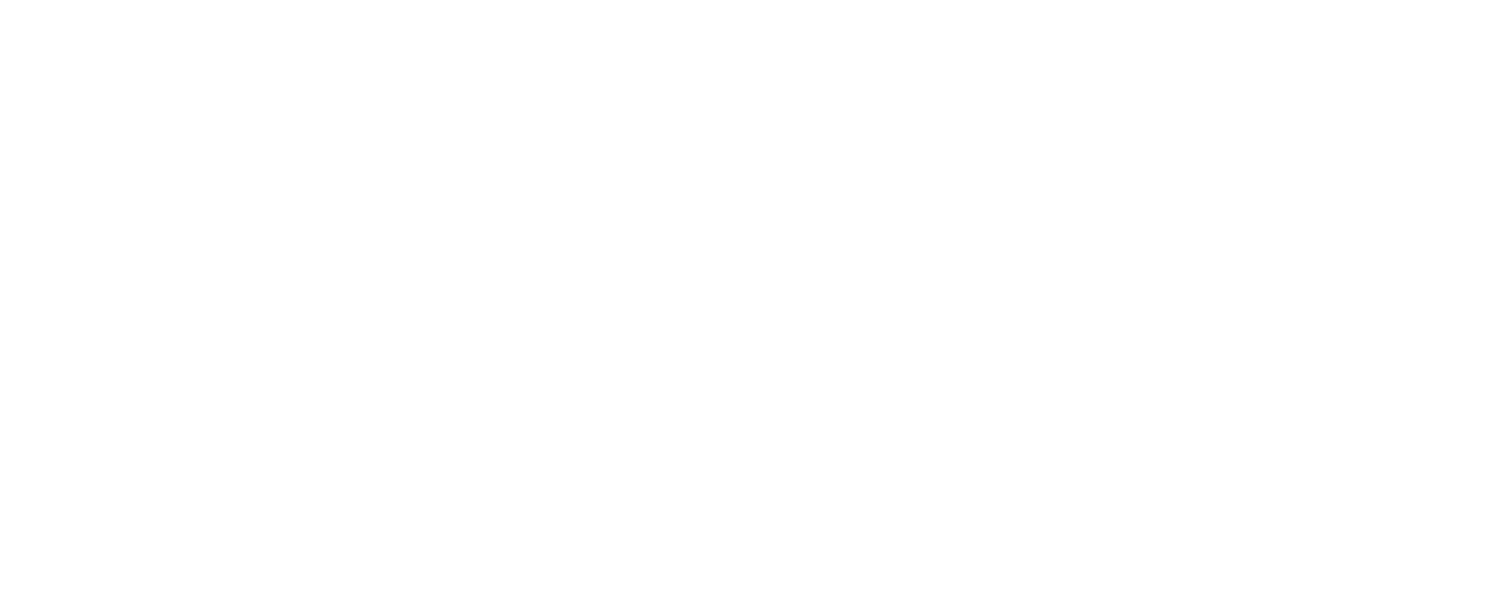 ВиПС