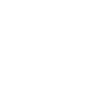 website icon