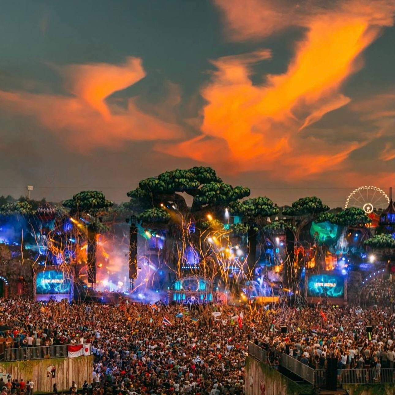 Фотография с прошлогоднего фестиваля Tomorrowland 