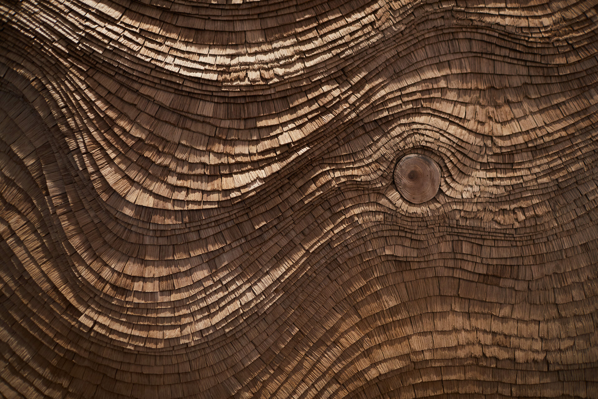 Interior Design Wood Wall Panel In the Stream of the Tree by Tor Design